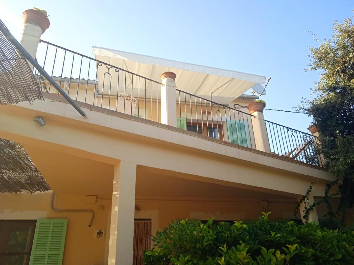 Ses Alzines Llucmajor (Mallorca)