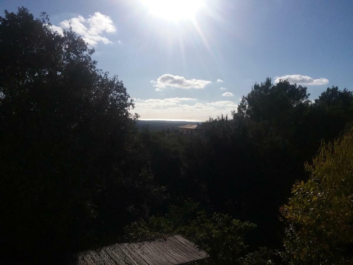 Apartment Ses Alzines