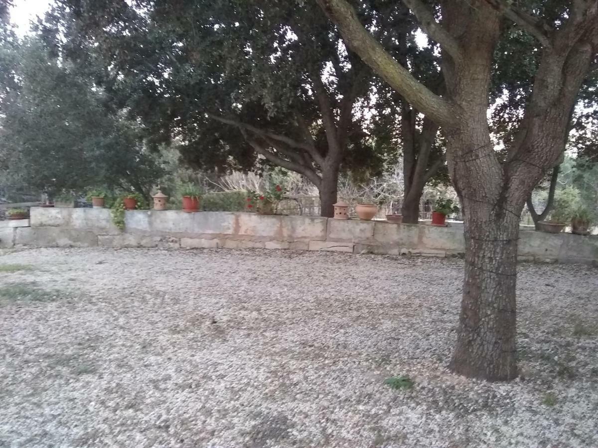 Ses Alzines * Llucmajor (Mallorca)