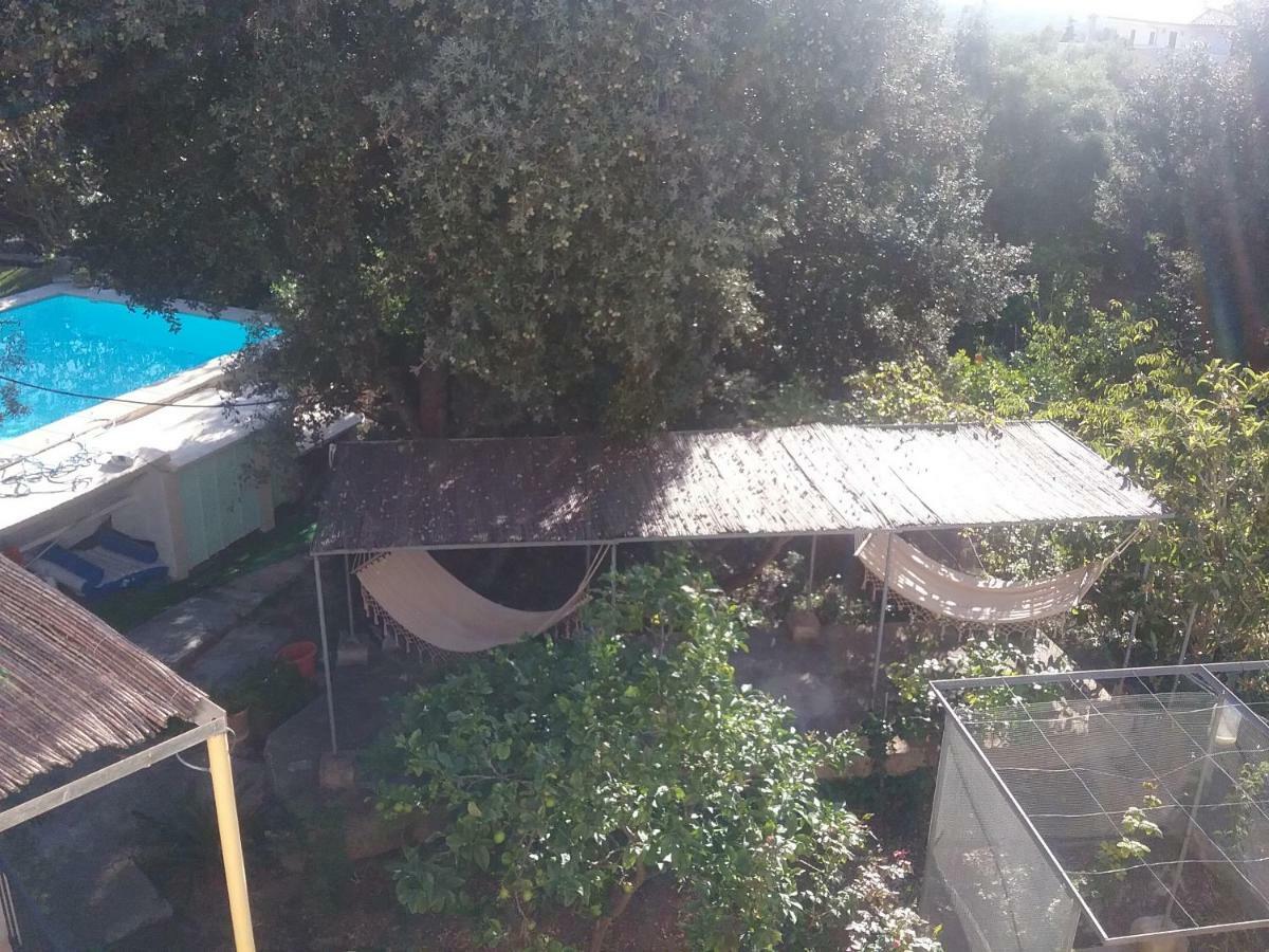 Ses Alzines Integrado En Habitada *
