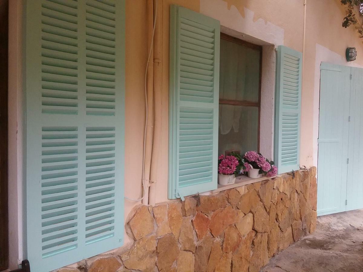 Appartement Ses Alzines Integrado En Habitada *